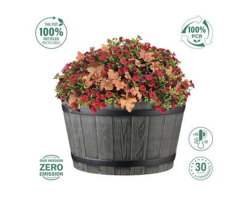 Blumenkübel mit Blumen und Siegeln