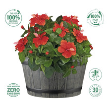 Pflanztopf Lafiora Ø 39,5 cm H 22,5 cm grau