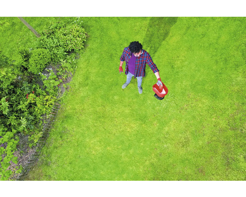 Draufsicht einer Person, die Rasendünger auf einen Rasen aufbringt