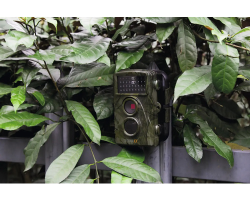 Wildkamera der Marke Technaxx, befestigt an einem Zaun und umgeben von Pflanzen.