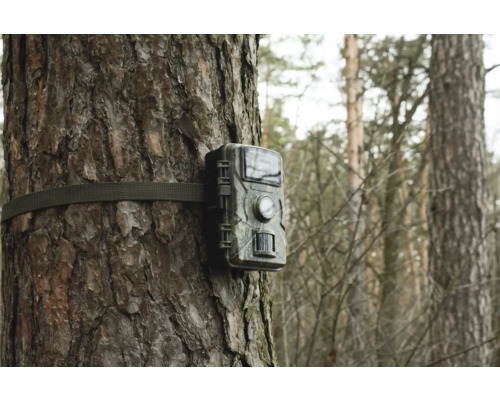 Wildkamera an einem Baum befestigt