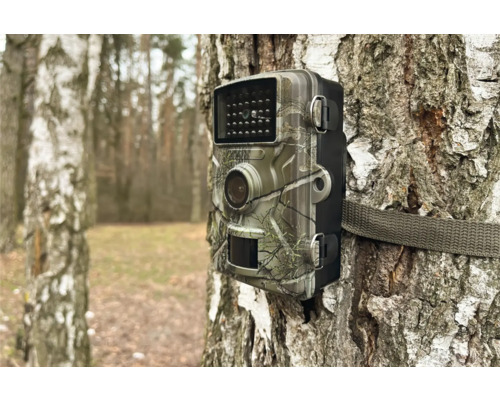 Wildkamera mit Tarnmuster an Baum befestigt