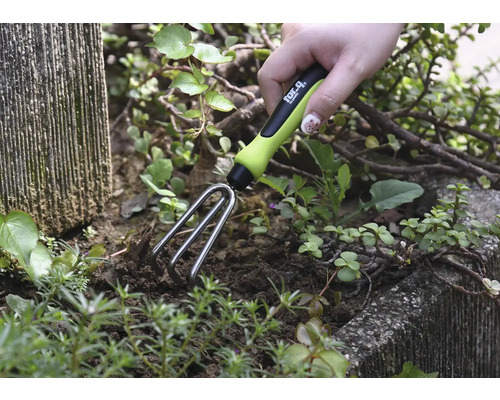 Gartenharke im Einsatz in einem Beet mit Pflanzen