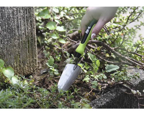 Nahaufnahme einer Hand, die eine kleine Gartenschaufel in Erde neben Pflanzen hält