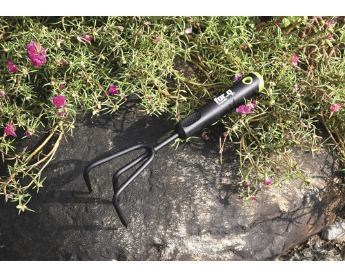 Gartenkralle auf einem Stein zwischen Pflanzen