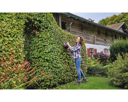 Frau schneidet Hecke mit einer Heckenschere im Garten.