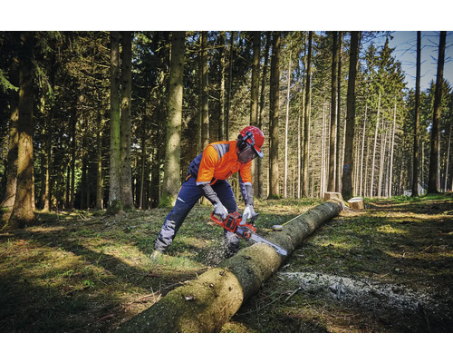 Eine Person mit Schutzkleidung sägt mit einer Kettensäge einen Baumstamm im Wald.