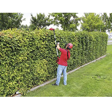 Eine Person schneidet mit einer Heckenschere eine grüne Hecke.