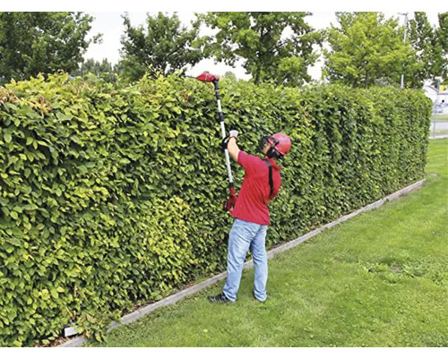 Eine Person schneidet mit einer Heckenschere eine grüne Hecke.