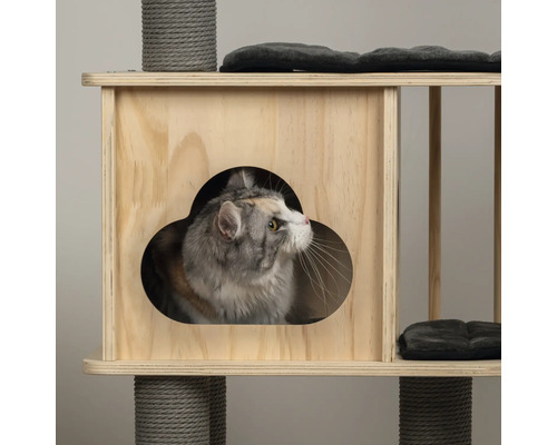 Katze in einem Katzenbaum mit Kratzstamm und Liegeflächen