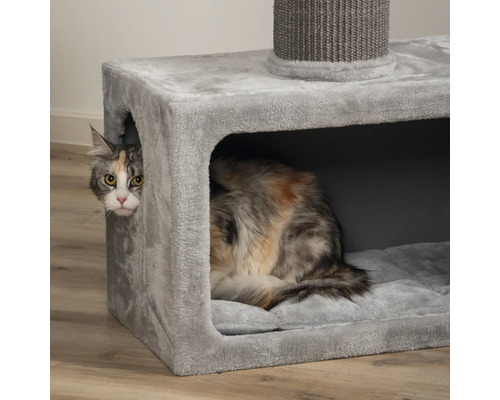 Katze in einem Kratzbaum mit Höhle und Liegefläche