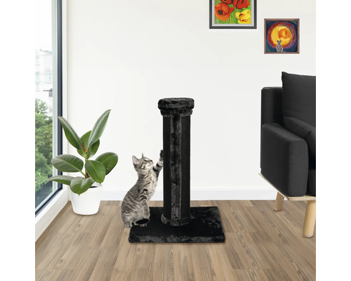 Katze kratzt an einem schwarzen Kratzbaum im Wohnzimmer.