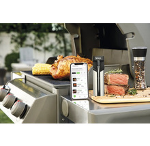 Szene mit Grill, Hähnchen, Maiskolben, Fleisch, Gewürzmühle, Smartphone und Ninja Logo.