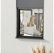 Frau installiert ein Insektenschutzgitter in einem Fenster.