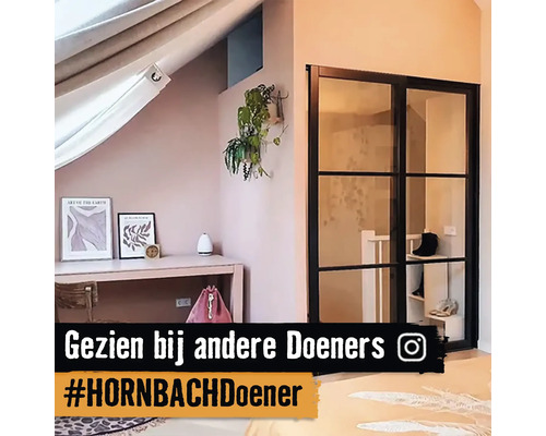 Dachzimmer mit Schreibtisch, Dekoration, Zimmerpflanze und Glastür mit schwarzem Rahmen