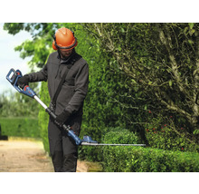 Eine Person schneidet eine Hecke mit einer Akku-Teleskop-Heckenschere von Bosch.