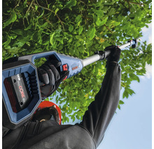 Akku Hochentaster im Einsatz zum Schneiden von Baumästen