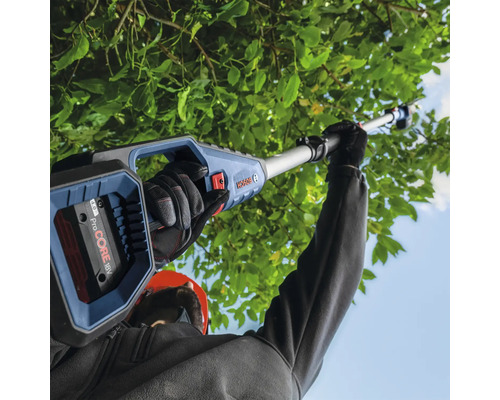 Akku Hochentaster im Einsatz zum Schneiden von Baumästen