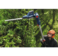 Person schneidet Hecke mit einer Akku-Teleskop-Heckenschere von Bosch