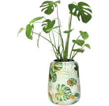 Monstera Zimmerpflanze in dekorativer Vase mit Pflanzenmuster