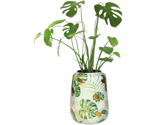 Monstera Zimmerpflanze in dekorativer Vase mit Pflanzenmuster