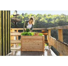 Frau bepflanzt ein Hochbeet aus Holz mit Salat und Gemüse auf einer Terrasse.