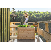 Frau gärtnert in einem Hochbeet mit Salat und Tomaten auf einer Terrasse mit Holzzaun