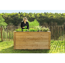 Hochbeet aus Holz mit Salat und Frau im Garten