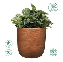 Pflanze im Pflanztopf mit recycelten Materialien und Frostbeständigkeit