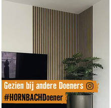 Wohnzimmer mit Akustikpaneelen an der Wand, Fernseher und Zimmerpflanze