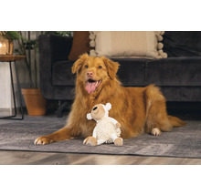 Hund liegt mit Plüschtier auf dem Teppich