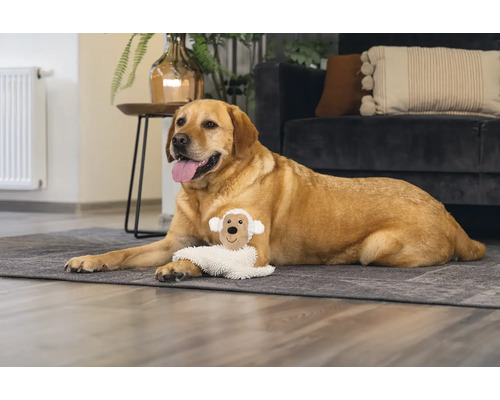 Ein Labrador liegt mit einem Hundespielzeug im Wohnzimmer auf einem Teppich.