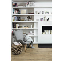 Wohnzimmer mit Bücherregal, Sessel und Dekoration