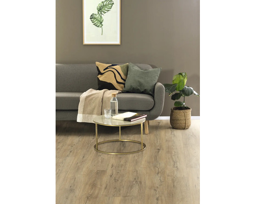 Wohnzimmer mit grauem Sofa, Kissen, Decke, Tisch, Zimmerpflanze und hellem Holzboden