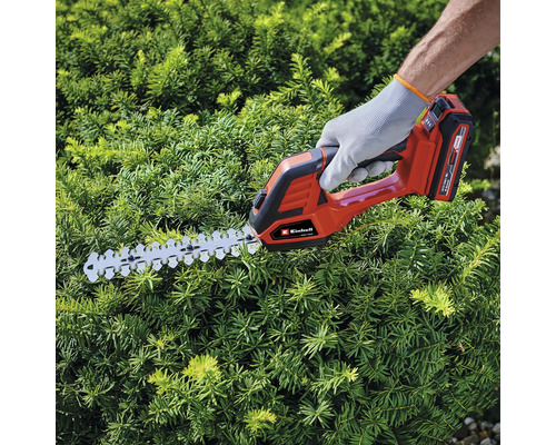 Eine Akku-Heckenschere im Einsatz an einer Hecke.