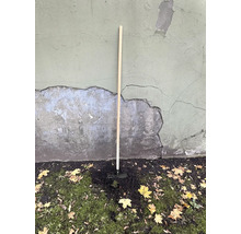 Hacke mit Holzstiel für Gartenarbeiten