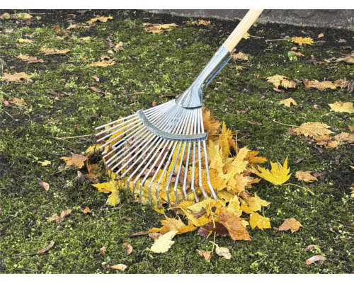 Laubbesen aus Metall mit Holzstiel beim Zusammenkehren von Herbstlaub auf Rasen