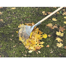 Laubbesen auf Rasen mit Herbstlaub