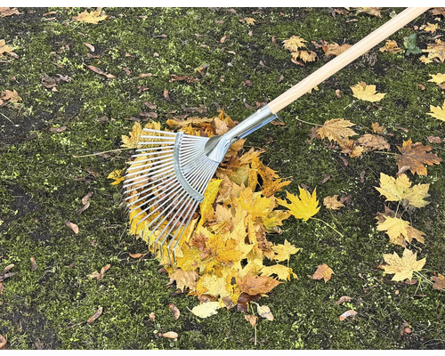 Laubbesen auf Rasen mit Herbstlaub