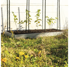 Beeteinfassung bellissa Pro 13L
