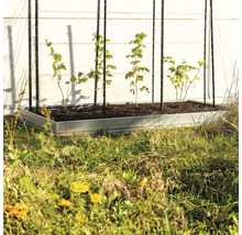 Eckteil bellissa Pro 13