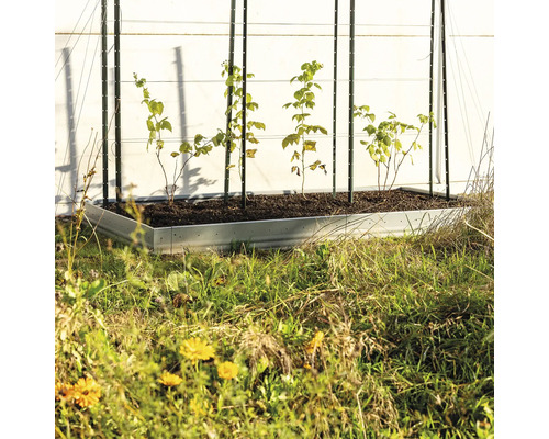 Hochbeet mit Pflanzen und Rankhilfe im Garten.