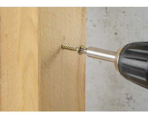 Eine Schraube wird mit einem Akkuschrauber in ein Holzbrett geschraubt.