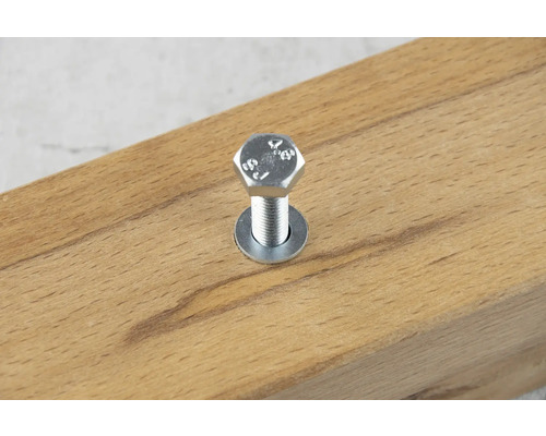 Sechskantschraube mit Unterlegscheibe in Holz