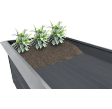 Hochbeet mit Pflanzen und Erde