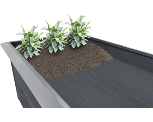 Hochbeet mit Pflanzen und Erde