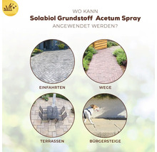Anwendungsbereiche für Solabiol Grundstoff Acetum Spray: Einfahrten, Wege, Terrassen und Gehsteige.