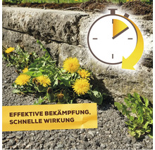 Symbol für schnelle Wirkung bei der Unkrautbekämpfung mit dem Hinweis effektive Bekämpfung, schnelle Wirkung.