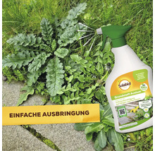 Solabiol Acetum Unkrautbekämpfungsmittel Sprühflasche mit einfacher Ausbringung