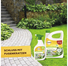 Solabiol Grundstoff Acetum zur Unkrautbekämpfung auf Wegen und Terrassen